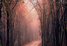 除了乌克兰矿产，美国这次又“盯上”俄罗斯稀土？.