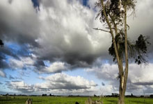 2020歐洲杯小組賽積分榜.