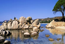 22／23英超半程最佳陣容出爐！ 阿森納4人入選！ 哈蘭德拉什福德榜上有名！.